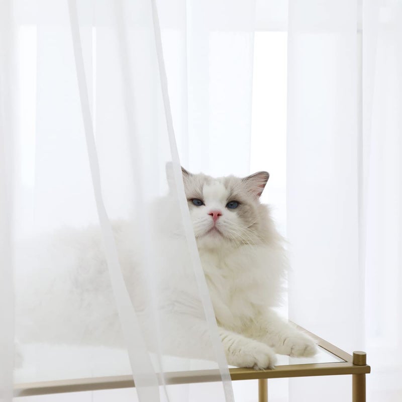 PHILEASY Window Sheer Curtains 84 Inches Long 2 Panels White Sheer Curtain Clear Transparent Basic Rod Pocket Panel 15 Colors 10 Size for Bedroom Living Room Yard Kitchen - Image 2
